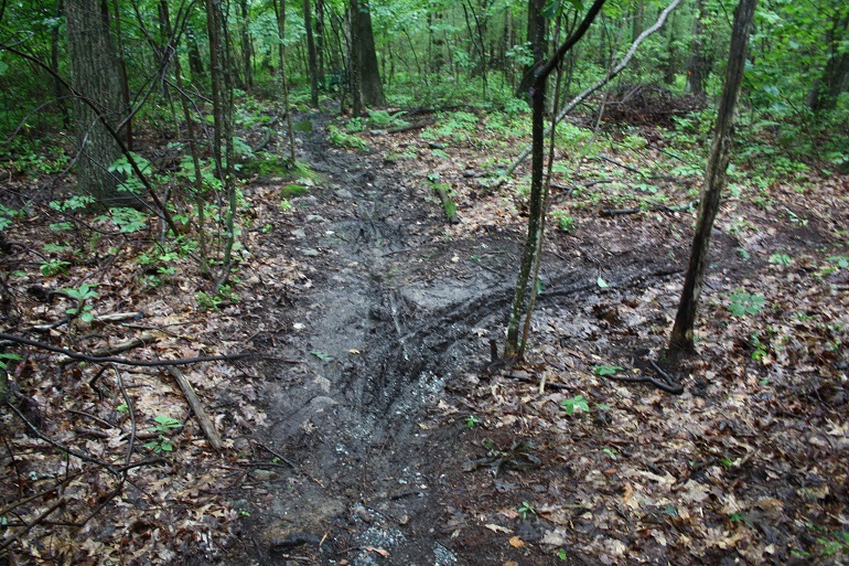 MudBefore